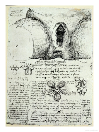 Vinci, étude de sexe féminin...Une origine du monde à rapprocher évidemment de la Fontaine de Duchamp!!!